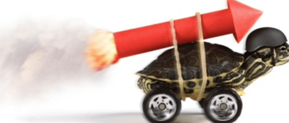 Rocket Turtle